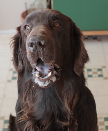 slimey face_4069.jpg